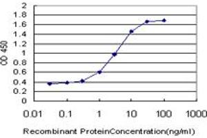 Detection limit for recombinant GST tagged ARMCX1 is approximately 0. (ARMCX1 antibody  (AA 188-295))