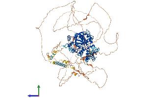 Protein Structure (PS) image for PHD Finger Protein 2 (PHF2) (AA 1-1096) protein (His tag) (ABIN7565207)