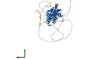 AlphaFold protein structure predicition of Mouse Recombinant Cdkl3 Protein, UniprotID Q8BLF2