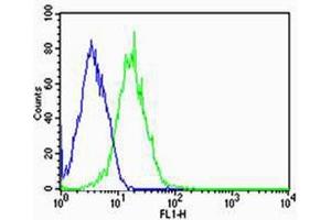 Flow cytometric analysis of HepG2 cells using T1 Antibody (C-term)(green, Cat(ABIN1944801 and ABIN2838504)) compared to an isotype control of mouse IgG1(blue). (PPT1 antibody  (AA 1-306))