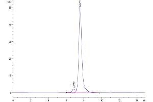 The purity of Biotinylated Human CLEC2D is greater than 95 % as determined by SEC-HPLC.