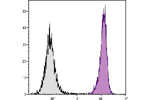 BALB/c mouse splenocytes were stained with Rat Anti-Mouse CD45-FITC. (CD45 antibody  (FITC))