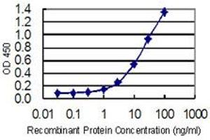 Detection limit for recombinant GST tagged DTYMK is 0. (DTYMK antibody  (AA 103-212))