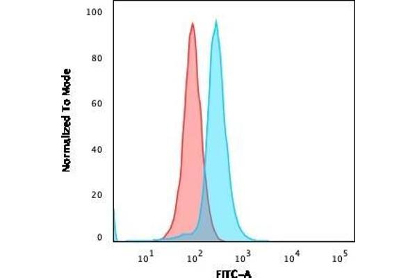 CD27 antibody