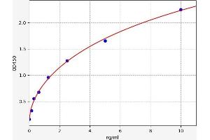 Metaxin 1 ELISA Kit