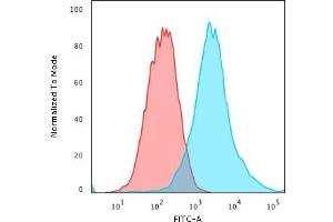 Flow Cytometry (FACS) image for anti-Keratin 19 (KRT19) antibody (ABIN6939940)