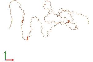 AlphaFold protein structure predicition of Human Recombinant KRTAP10-2 Protein, UniprotID P60368 (KRTAP10-2/KAP10.2 Protein (AA 1-255) (His tag))