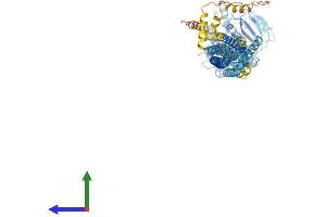 AlphaFold protein structure predicition of Human Recombinant MFN2 Protein, UniprotID O95140 (MFN2 Protein (AA 1-757) (His tag))
