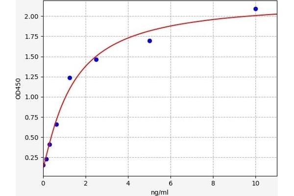 JNK2 ELISA Kit