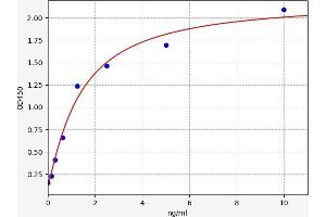 Typical standard curve (JNK2 ELISA Kit)