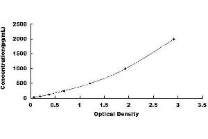 Claudin 5 (CLDN5) ELISA Kit