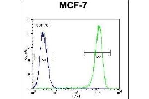 BCL10 Antibody (N-term) (ABIN654655 and ABIN2844351) flow cytometric analysis of MCF-7 cells (right histogram) compared to a negative control cell (left histogram).
