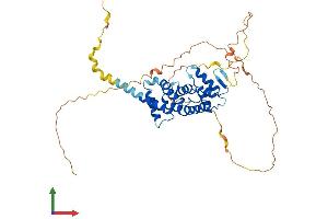 AlphaFold protein structure predicition of Human Recombinant PRR5 Protein, UniprotID P85299