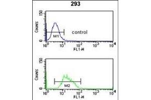 Flow Cytometry (FACS) image for anti-Replication Factor C (Activator 1) 3, 38kDa (RFC3) (AA 230-258), (C-Term) antibody (ABIN650750)