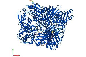 AlphaFold protein structure predicition of Human Recombinant AOX1 Protein, UniprotID Q06278