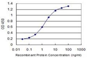 Detection limit for recombinant GST tagged XIAP is 0. (XIAP antibody  (AA 51-150))