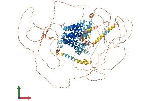 AlphaFold protein structure predicition of Human Recombinant SLC24A1 Protein, UniprotID O60721