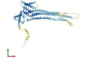 AlphaFold protein structure predicition of Mouse Recombinant Dcstamp Protein, UniprotID Q7TNJ0