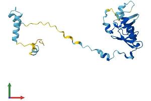 Protein Structure (PS) image for Processing of Precursor 4, Ribonuclease P/MRP Subunit (POP4) (AA 1-221) protein (His tag) (ABIN7560597)