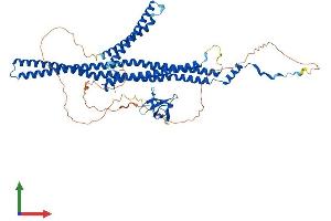 Protein Structure (PS) image for Formin Binding Protein 1-Like (FNBP1L) (AA 1-605) protein (His tag) (ABIN7553916)