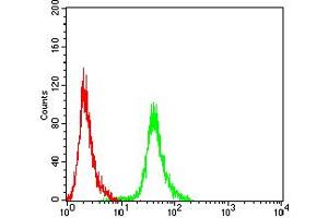 Flow Cytometry (FACS) image for anti-Anaphase Promoting Complex Subunit 1 (ANAPC1) (AA 12-155) antibody (ABIN5611230)