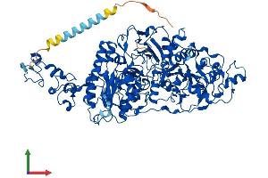 Protein Structure (PS) image for Ectonucleotide pyrophosphatase/phosphodiesterase 3 (ENPP3) (AA 1-875) protein (His tag) (ABIN7553821)