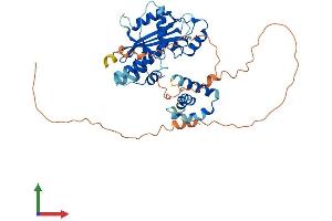 AlphaFold protein structure predicition of Human Recombinant MAEL Protein, UniprotID Q96JY0 (MAEL Protein (AA 1-434) (His tag))