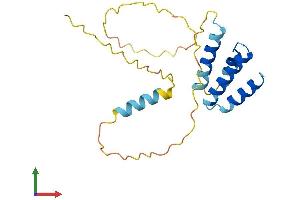 AlphaFold protein structure predicition of Human Recombinant CT45A7 Protein, UniprotID P0DMV0