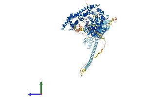 AlphaFold protein structure predicition of Human Recombinant DAAM2 Protein, UniprotID Q86T65 (DAAM2 Protein (AA 1-1068) (His tag))