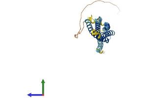 Protein Structure (PS) image for Membrane-Spanning 4-Domains, Subfamily A, Member 2 (Fc Fragment of IgE, High Affinity I, Receptor For, beta Polypeptide) (MS4A2) (AA 1-244) protein (His tag) (ABIN7547662)