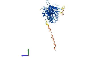 AlphaFold protein structure predicition of Human Recombinant ADAT3 Protein, UniprotID Q96EY9