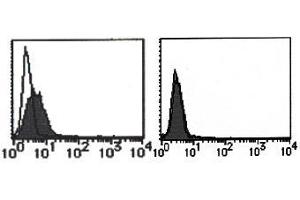 Flow Cytometry (FACS) image for anti-cDNA Sequence AF251705 (AF251705) antibody (ABIN1108296) (cDNA Sequence AF251705 (AF251705) antibody)