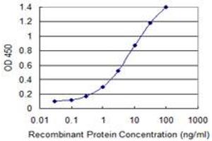 Detection limit for recombinant GST tagged FBXL3 is 0. (FBXL3 antibody  (AA 1-100))