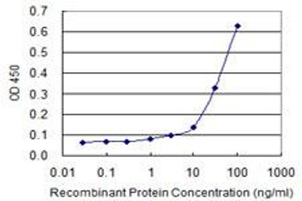 KCNK5 antibody  (AA 1-499)