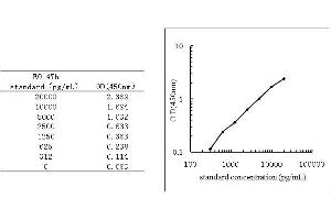 Fms-Related tyrosine Kinase 1 (VEGFR1) (FLT1) ELISA Kit