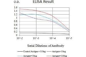 Black line: Control Antigen (100 ng),Purple line: Antigen (10 ng), Blue line: Antigen (50 ng), Red line:Antigen (100 ng) (CD80 antibody  (AA 35-288))