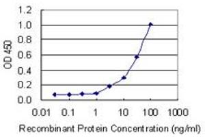 Detection limit for recombinant GST tagged CD69 is 1 ng/ml as a capture antibody. (CD69 antibody  (AA 90-199))