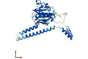 Protein Structure (PS) image for Ubiquitin Carboxyl-terminal Hydrolase L5 (UCHL5) (AA 1-329) protein (His tag) (ABIN7545005)