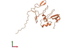 AlphaFold protein structure predicition of Human Recombinant LINC00696 Protein, UniprotID Q6ZRV3 (LINC00696/C3orf74 Protein (AA 1-163) (His tag))