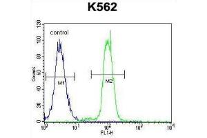 Flow Cytometry (FACS) image for anti-Kruppel-Like Factor 4 (Gut) (KLF4) antibody (ABIN2996460) (KLF4 antibody)