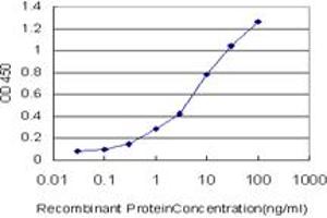 Detection limit for recombinant GST tagged POLR2H is approximately 0. (POLR2H antibody  (AA 1-150))