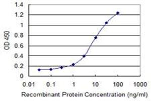 Detection limit for recombinant GST tagged SGCG is 0. (SGCG antibody  (AA 191-290))