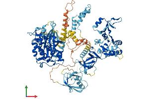 Protein Structure (PS) image for Calcium/calmodulin-Dependent serine Protein Kinase (MAGUK Family) (CASK) (AA 1-926) protein (His tag) (ABIN7562583)
