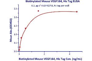 Measured by its binding ability in a functional ELISA. (VEGFA Protein (AA 27-190) (His tag,AVI tag,Biotin))