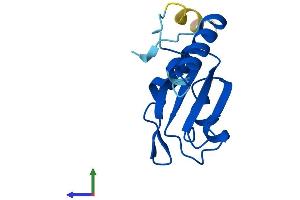 Protein Structure (PS) image for Pre-mRNA Branch Site Protein p14 (SF3B14) (AA 1-125) protein (His tag) (ABIN7556552)