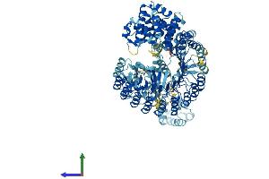 AlphaFold protein structure predicition of Mouse Recombinant Nlrp4c Protein, UniprotID Q3TKR3 (Nlrp4c Protein (AA 1-982) (His tag))