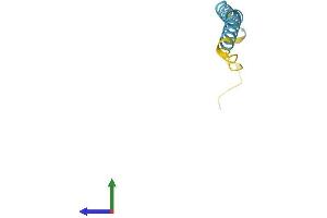 Protein Structure (PS) image for Prion Protein (PRNP) (AA 1-73) protein (Fc Tag) (ABIN7552297)