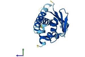 Protein Structure (PS) image for Trafficking Protein Particle Complex 6A (TRAPPC6A) (AA 1-159) protein (His tag) (ABIN7544544)