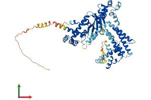 Protein Structure (PS) image for Chromosome 7 Open Reading Frame 38 (C7orf38) (AA 1-573) protein (His tag) (ABIN7547644)