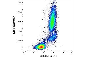 Flow cytometry surface staining pattern of human peripheral whole blood stained using anti-human CD368 (9B9) APC antibody (10 μL reagent / 100 μL of peripheral whole blood). (CLEC4D antibody  (APC))